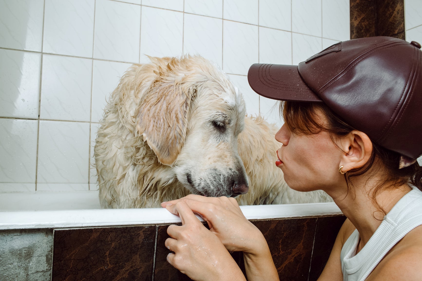 Jak zadbać o psa seniora?