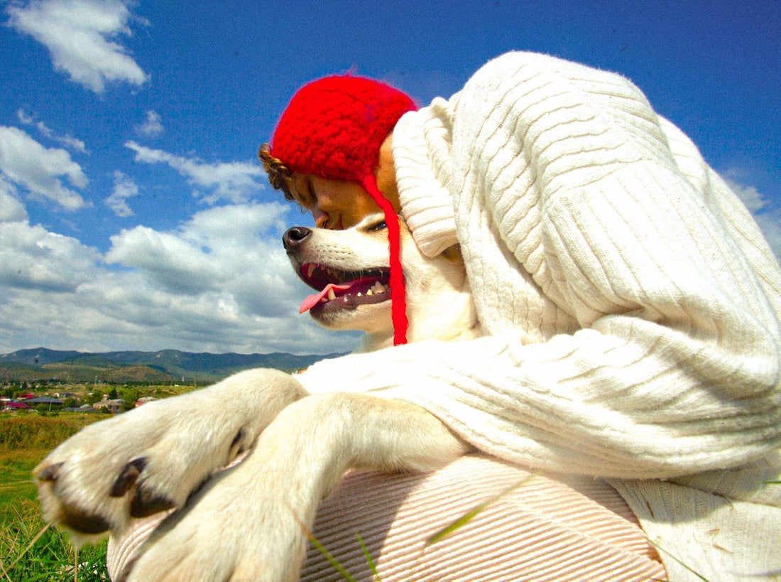 Resweratrol i Kwercetyna – Naturalne wsparcie dla zdrowia psów seniorów