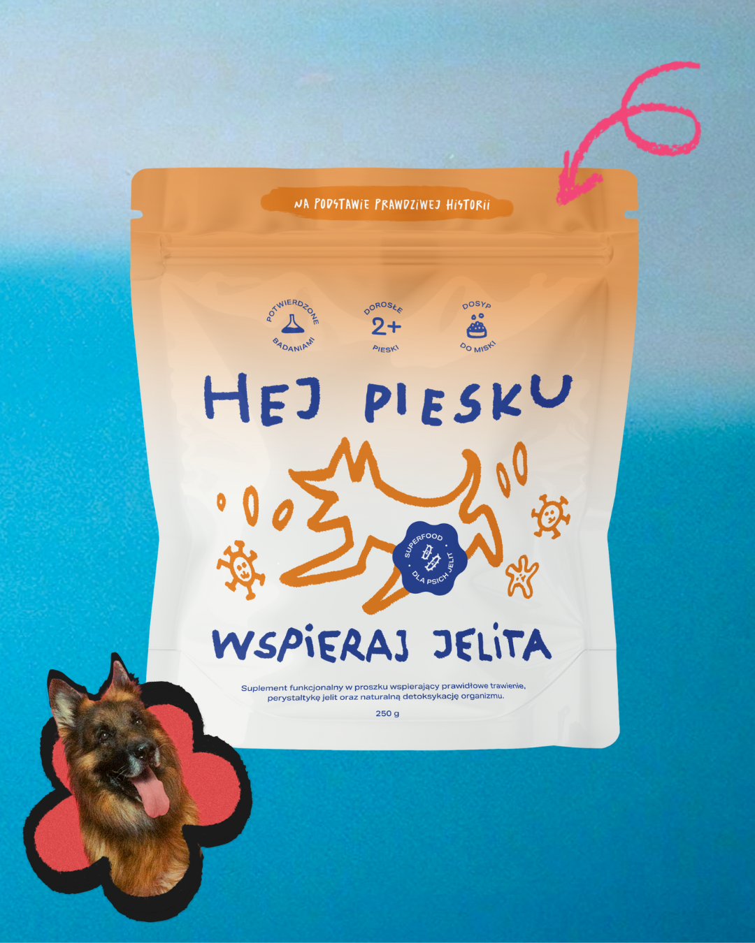 WSPIERAJ JELITA