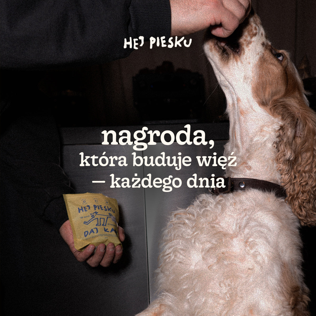 DAJ ŁAPĘ