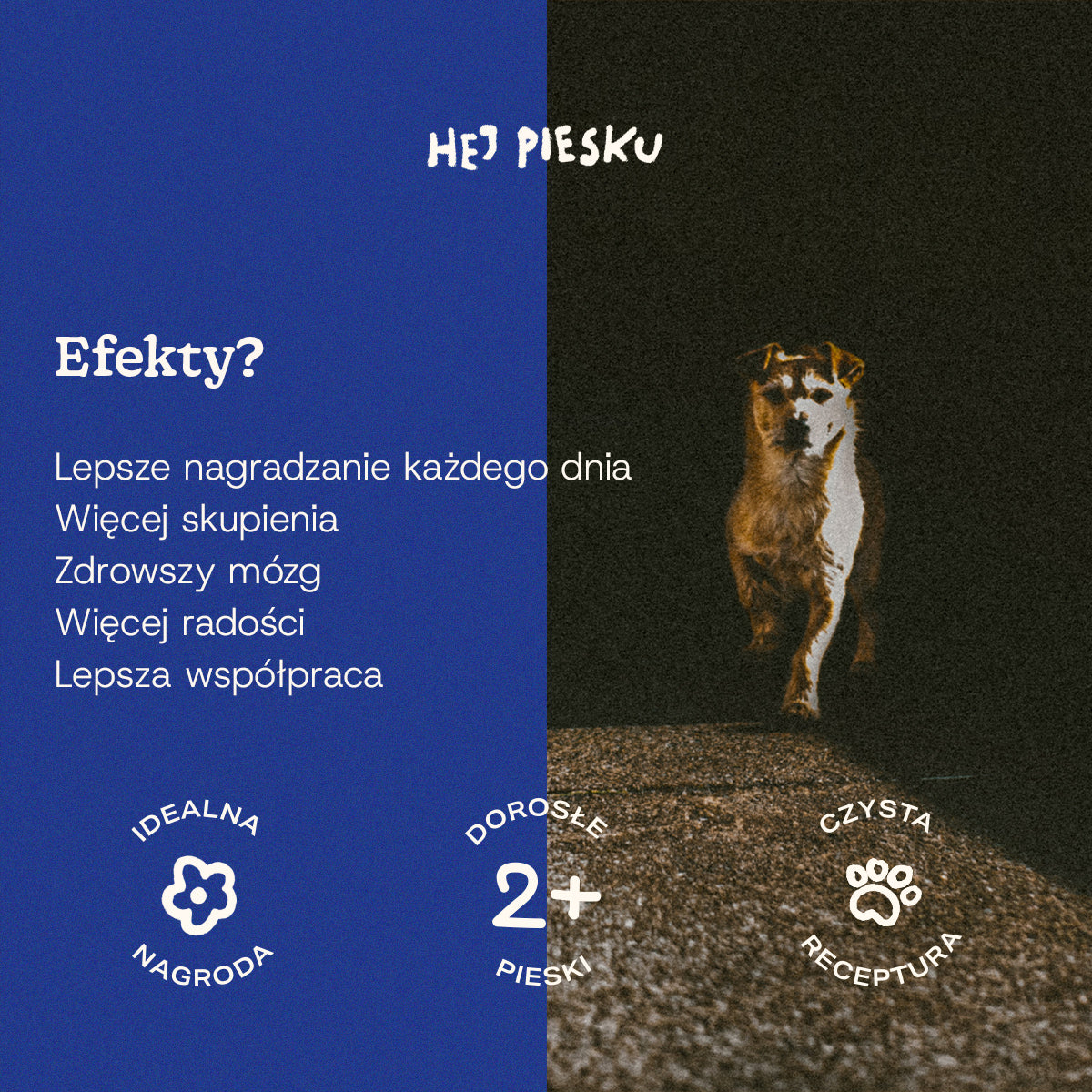 DAJ ŁAPĘ