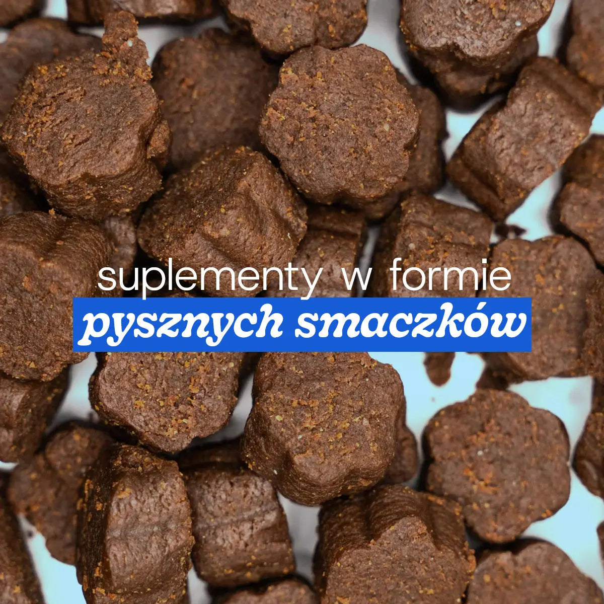 DZIEŃ DOBRY Hej Piesku