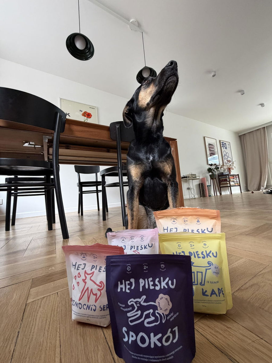 Miso ze smaczkami Hej Piesku — zdjęcie z opinii Kuby