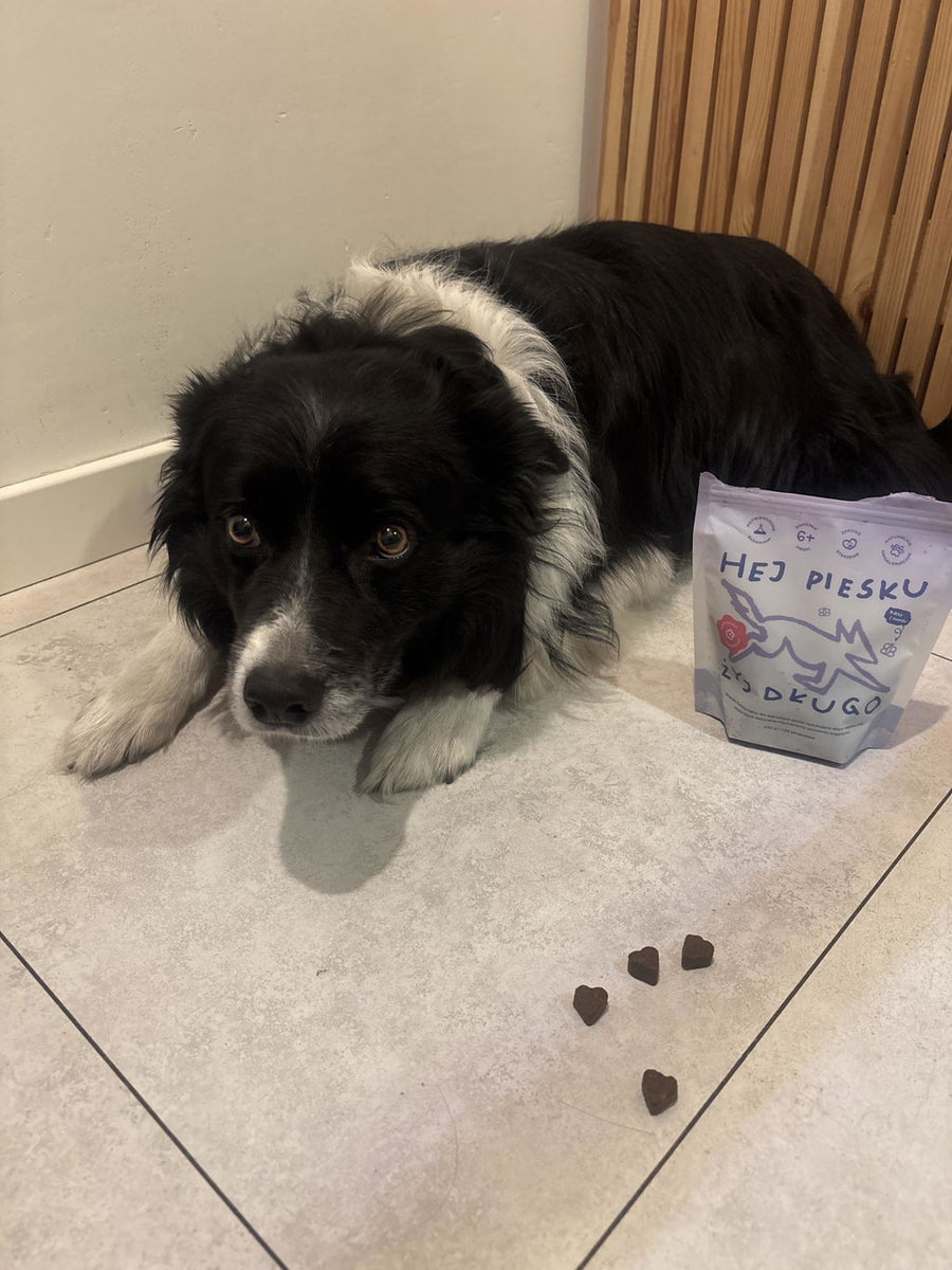 Vincent van Dog — zdjęcie z opinii Michała