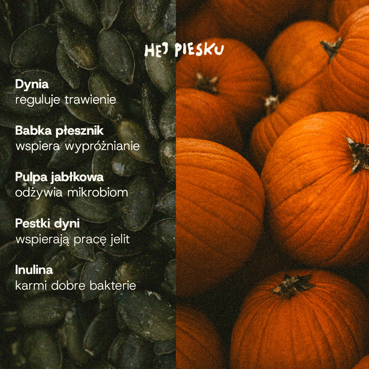WSPIERAJ JELITA