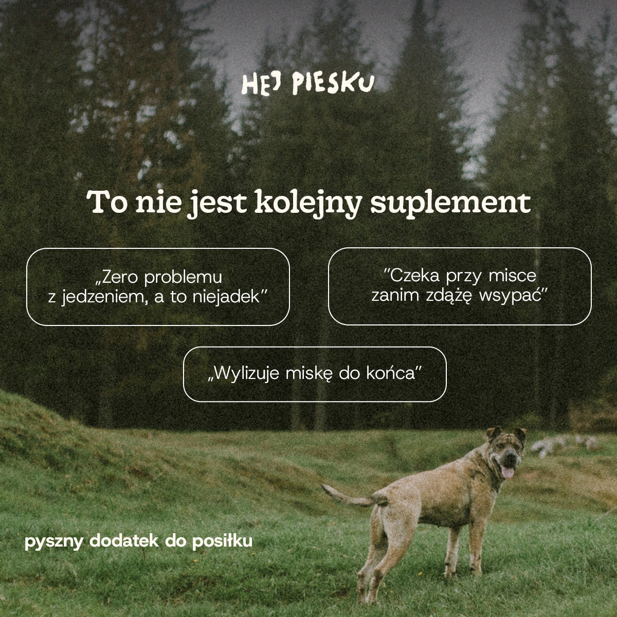 WSPIERAJ JELITA