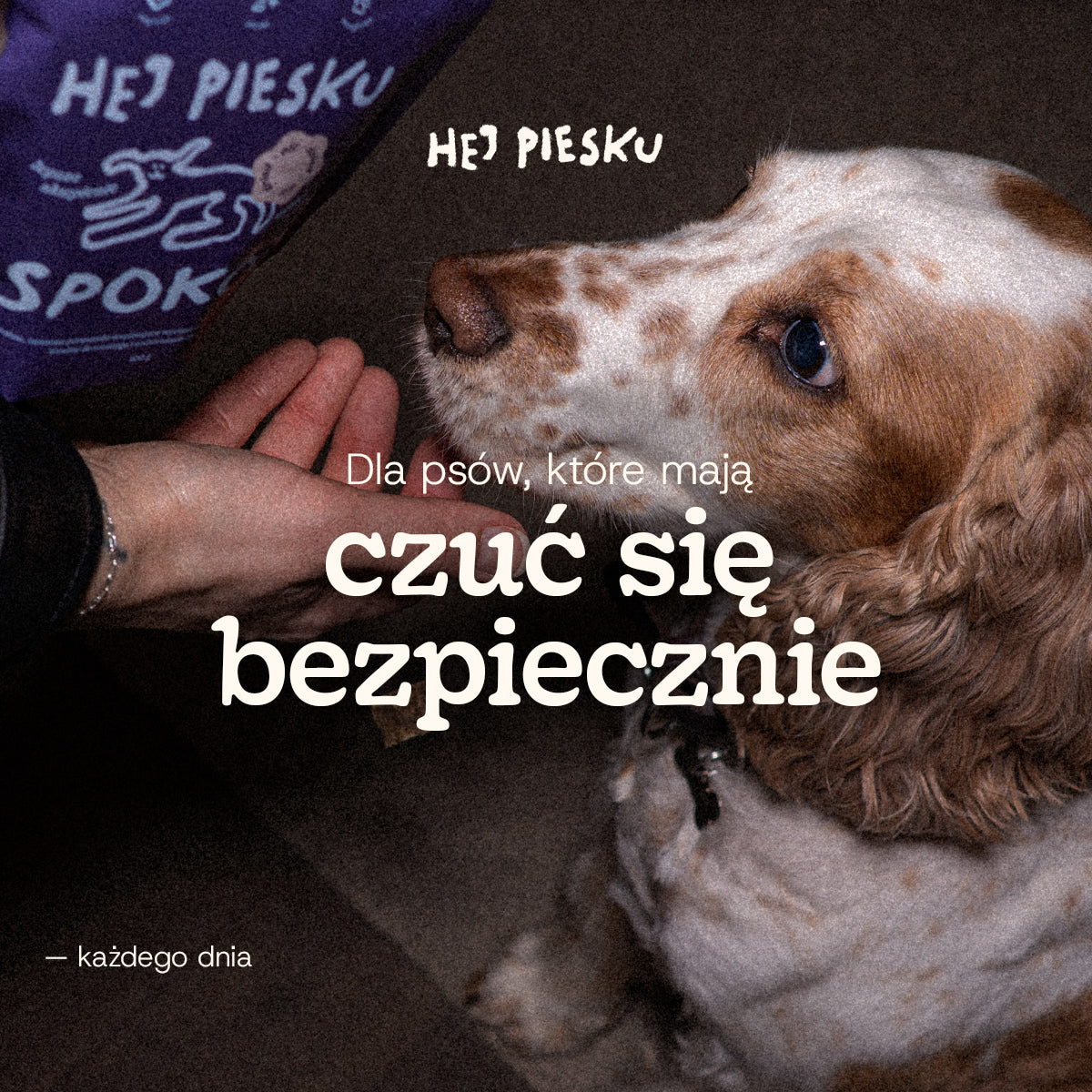 SPOKÓJ