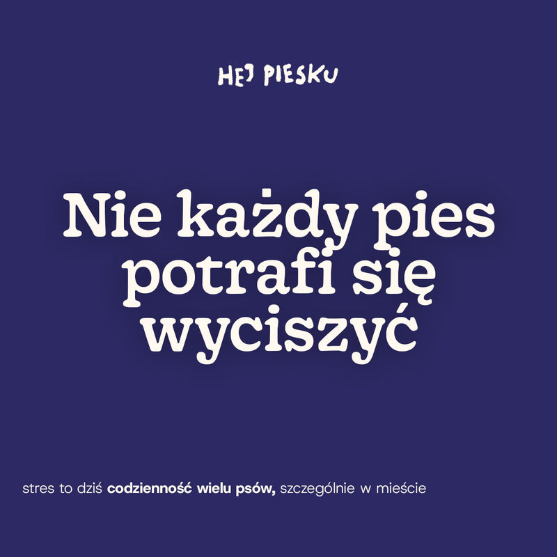 SPOKÓJ