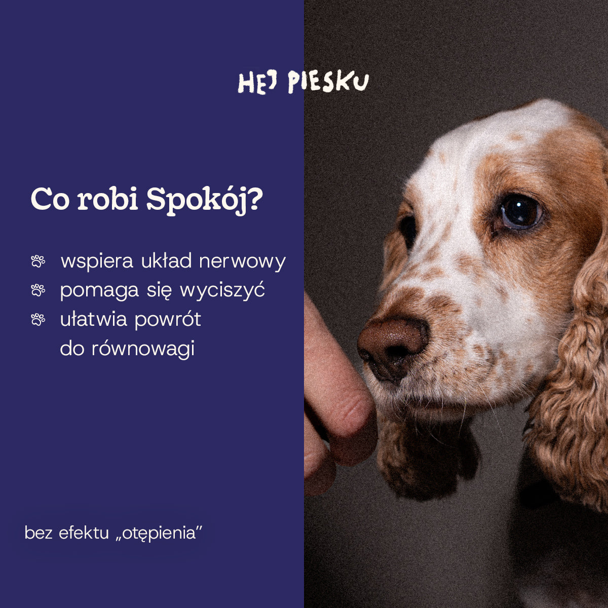 SPOKÓJ
