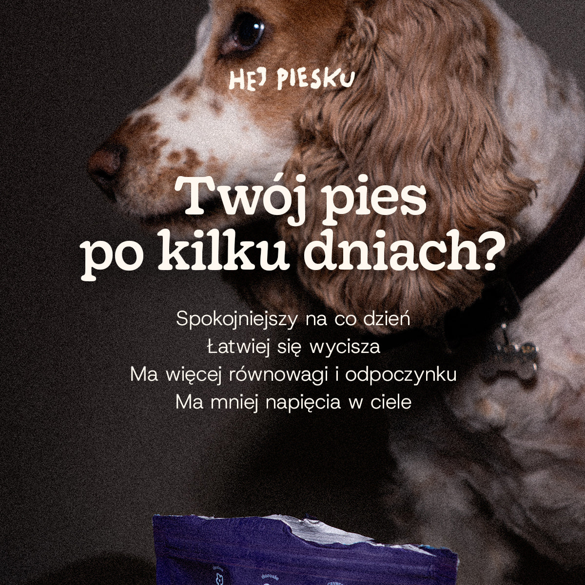 SPOKÓJ