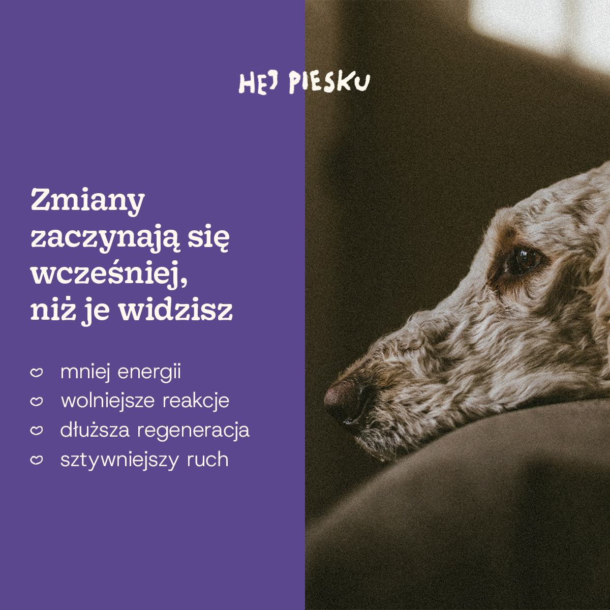 ŻYJ DŁUGO